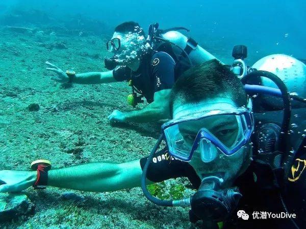 情侣租房应该AA还是男生交房租?游戏画面